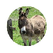 tecopedia