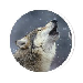 tecopedia