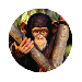 tecopedia
