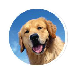 tecopedia