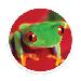 tecopedia
