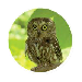 tecopedia